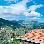 Gli Ulivi