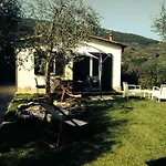 Gli Ulivi *