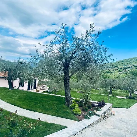 Gli Ulivi Borgomaro
