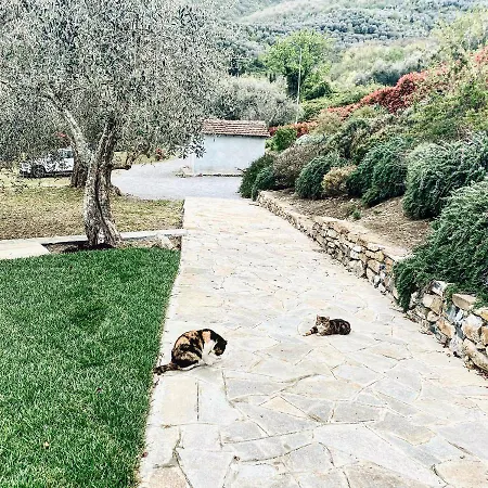 Σπίτι διακοπών Gli Ulivi *