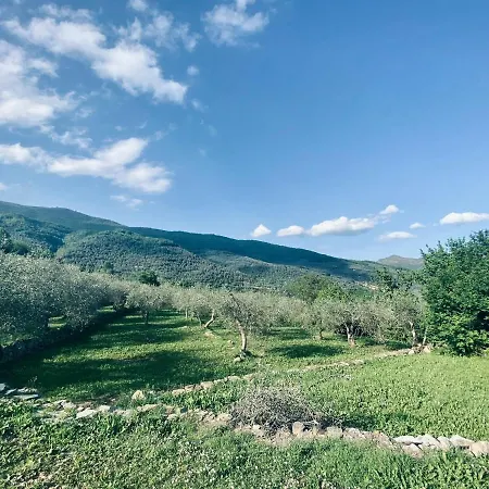 Casa Vacanze Gli Ulivi * Borgomaro