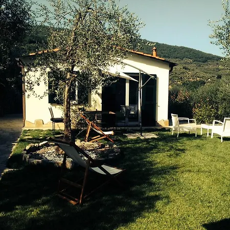Gli Ulivi *