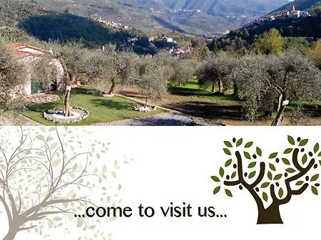 Σπίτι διακοπών Gli Ulivi