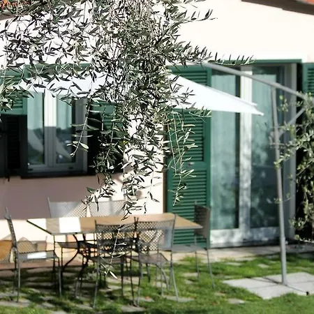 Gli Ulivi