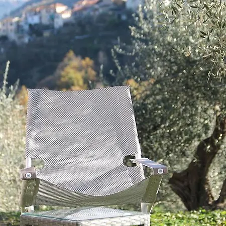 Gli Ulivi * Borgomaro