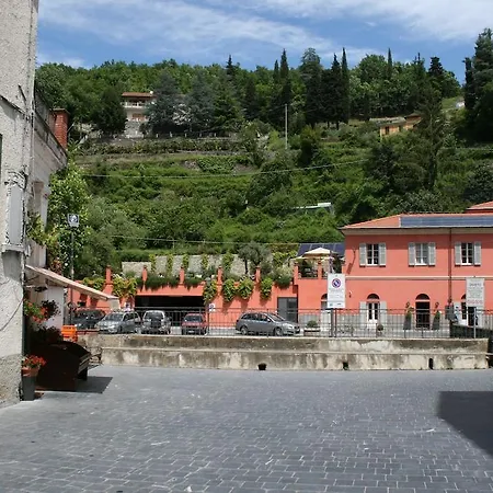 Gli Ulivi *