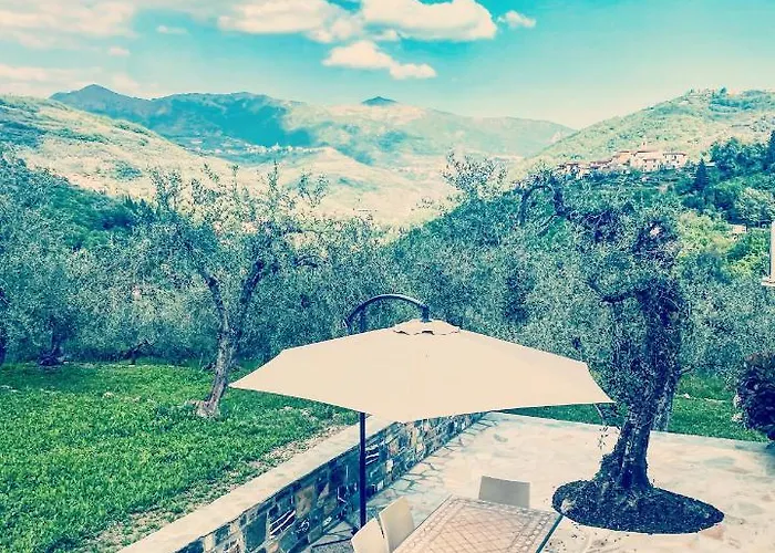 Vakantiehuis Gli Ulivi