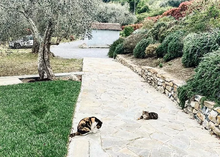 Hébergement de vacances Gli Ulivi *