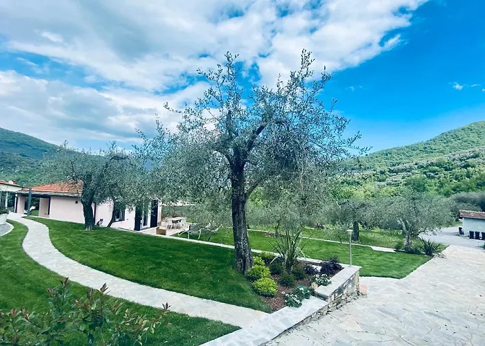 Gli Ulivi Borgomaro