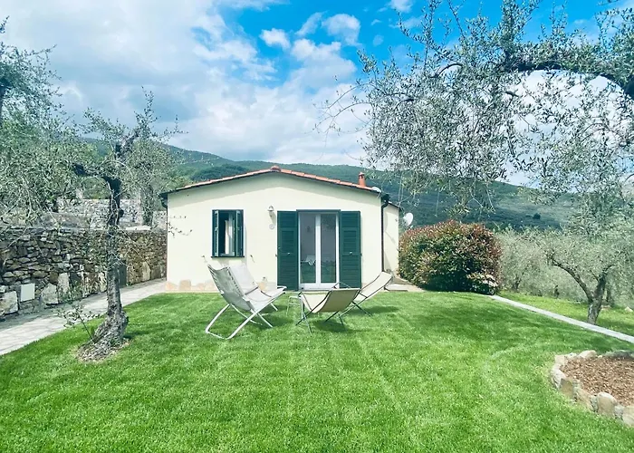 Gli Ulivi * Borgomaro