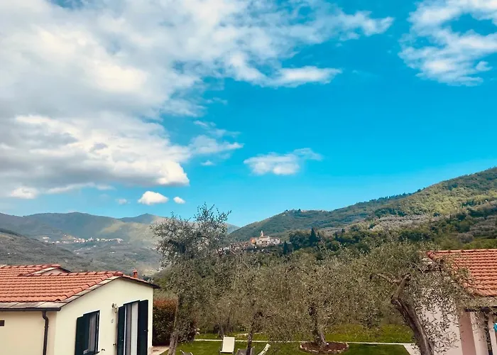Gli Ulivi *