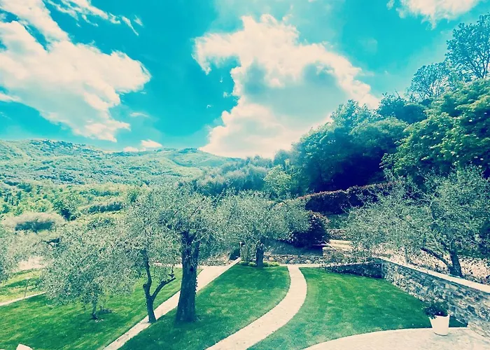 Gli Ulivi * Borgomaro