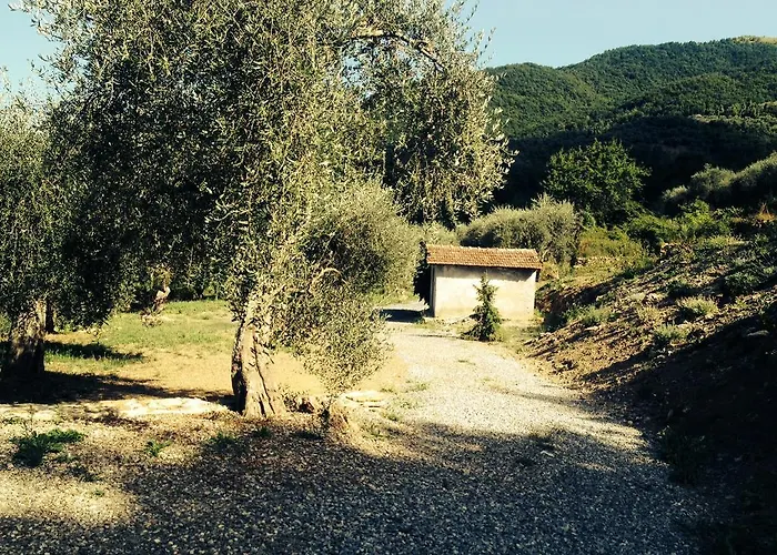 Gli Ulivi Vakantiehuis Borgomaro