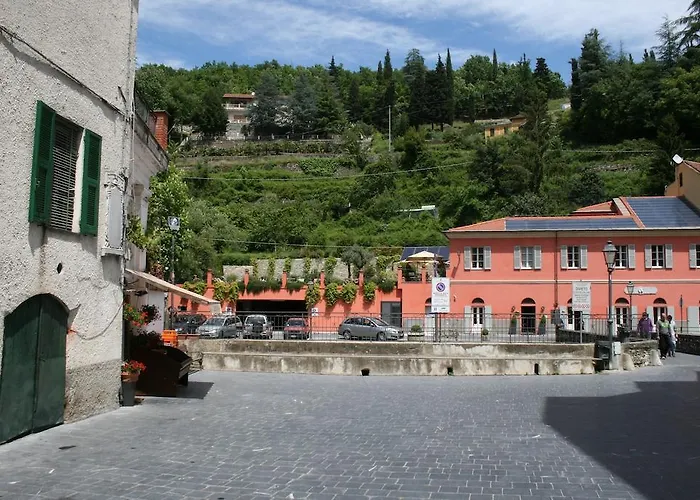 Gli Ulivi *