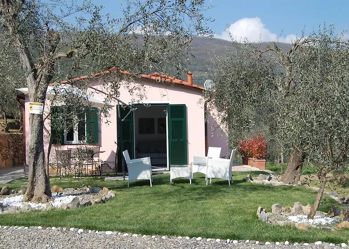 Gli Ulivi Borgomaro